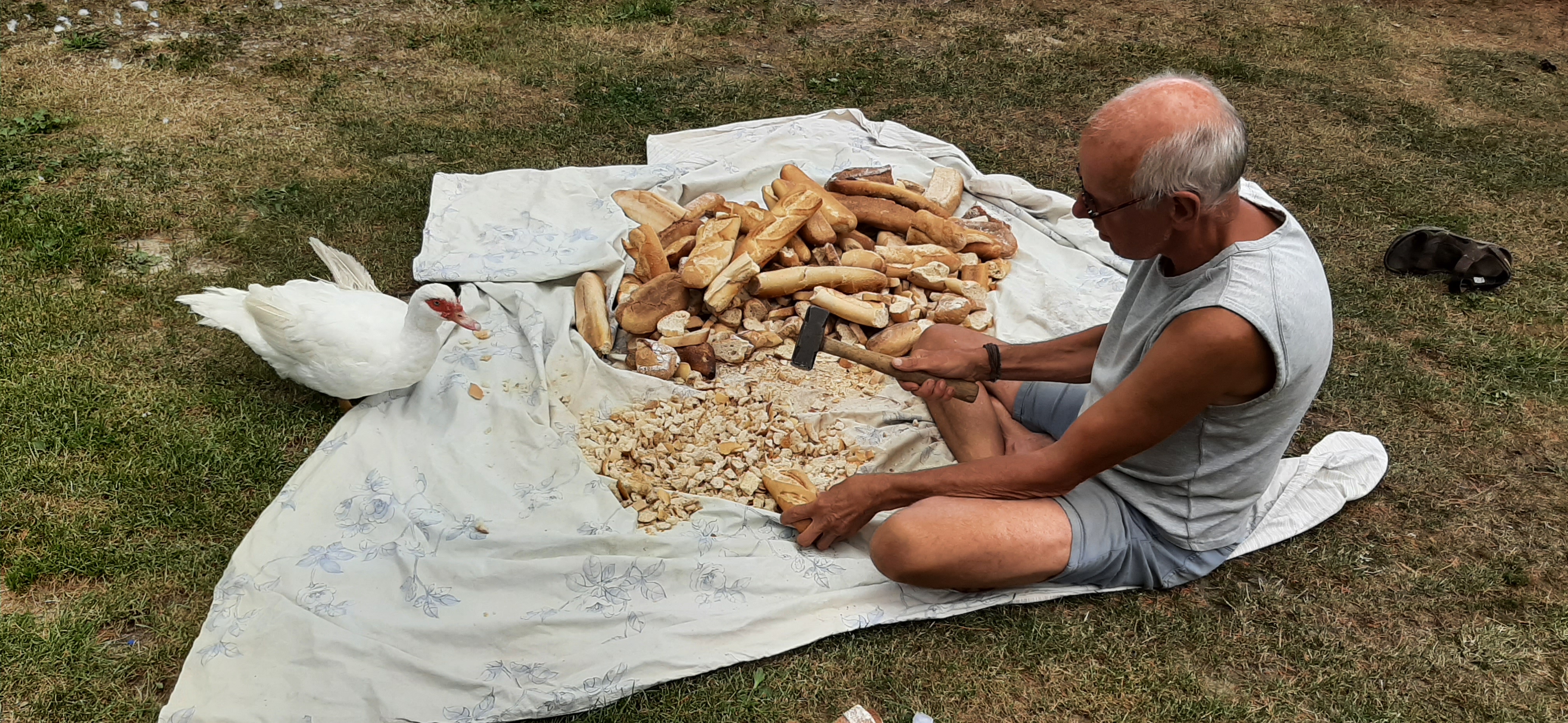 Photo n° 2 de l'avis de G.a fait le 26/07/2022 à 11:49
