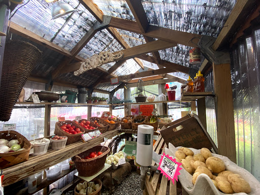 Grocery Store «Bayshore Market», reviews and photos, 5025 Bayshore Blvd, Tampa, FL 33611, USA