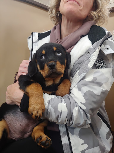 Pet Store «Petland», reviews and photos, 5470 Dixie Hwy, Fairfield, OH 45014, USA