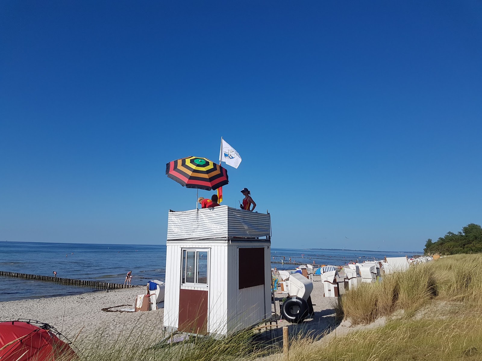 Black Bush Beach photo #6