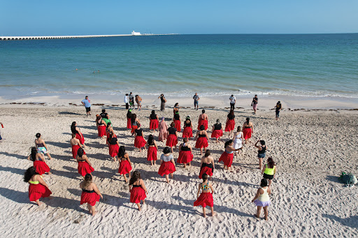 Makanani O Hilo Academia de Danza