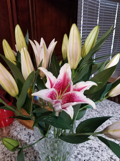Florist «Cypress Flowers», reviews and photos, 14419 Huffmeister Rd, Cypress, TX 77429, USA