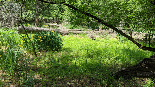 Nature Preserve «Sidney Yates Flatwoods», reviews and photos, N Caldwell Ave, Chicago, IL 60646, USA