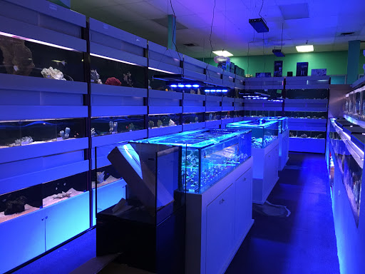 Tropical Fish Store «Trop Aquarium», reviews and photos, 3125 E Tropicana Ave D, Las Vegas, NV 89121, USA