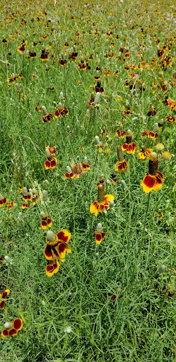 Gym «Carpenter Park Recreation Center», reviews and photos, 6701 Coit Rd, Plano, TX 75024, USA