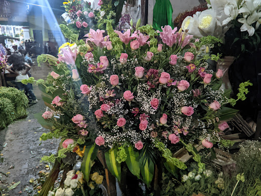 Floreria la poblanita – Xalapa