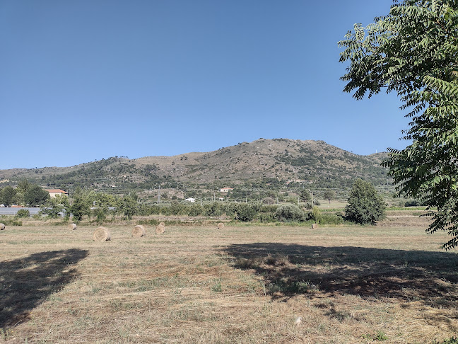 Praia Fluvial de Aldeia Viçosa - Bar