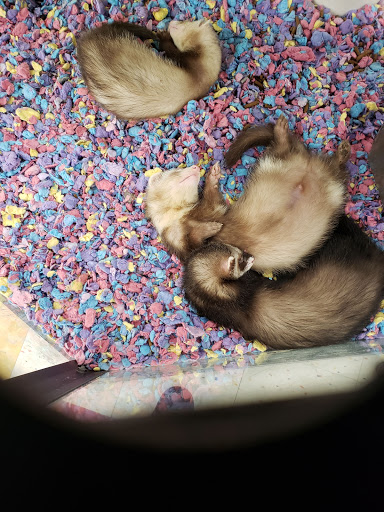 Pet Supply Store «Petco Animal Supplies», reviews and photos, 2350 Central Park Ave, Yonkers, NY 10710, USA