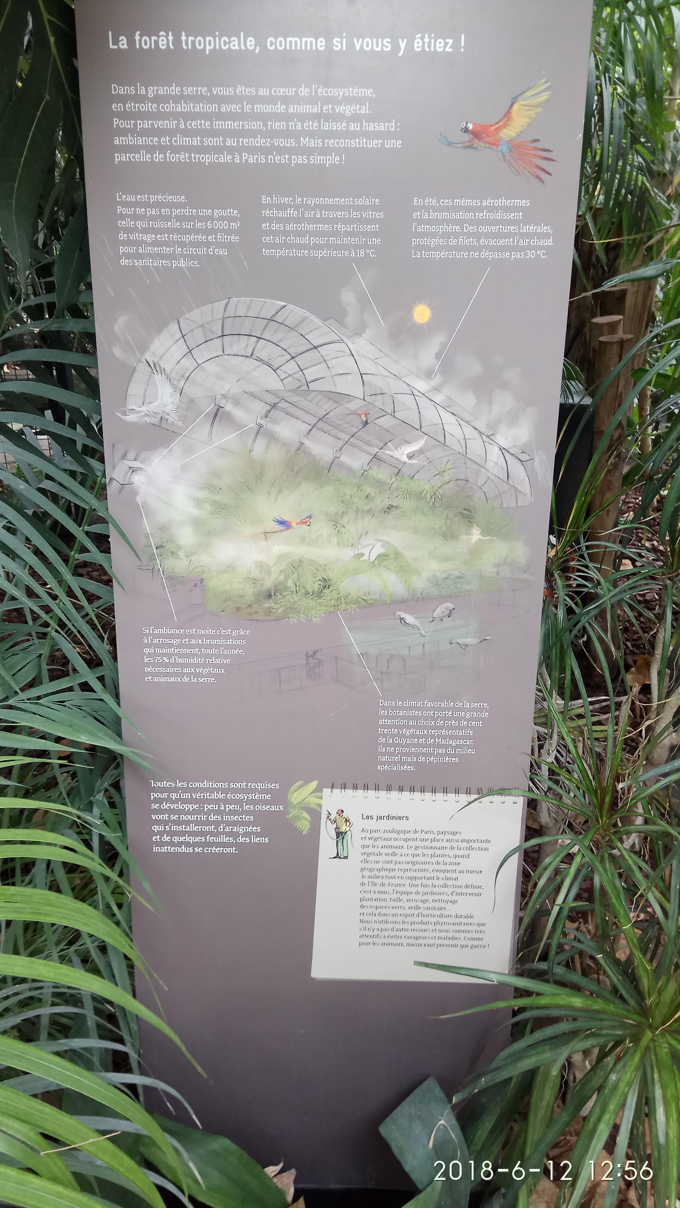 Photo n° 29 de l'avis de Swiss.e fait le 15/06/2018 à 19:24