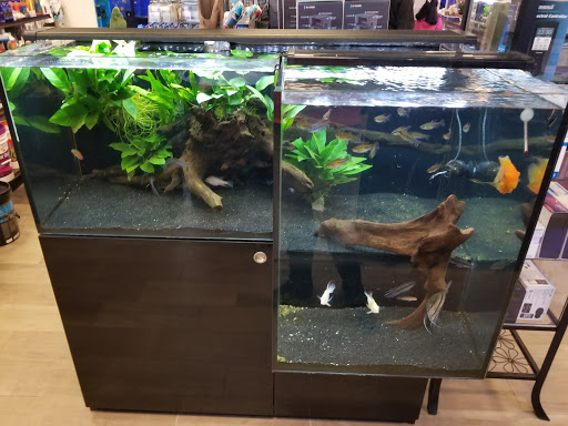 Tropical Fish Store «Aquatic Wildlife Co», reviews and photos, 70 Buckland Rd, South Windsor, CT 06074, USA