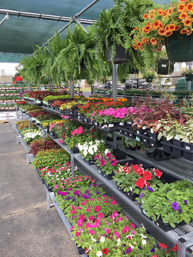 Hardware Store «Warrior Ace Hardware», reviews and photos, 427 Caldwell Dr, Warrior, AL 35180, USA