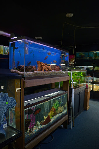 Aquarium Shop «Aquarium Outfitters Carolina», reviews and photos, 823 S Main St, Wake Forest, NC 27587, USA