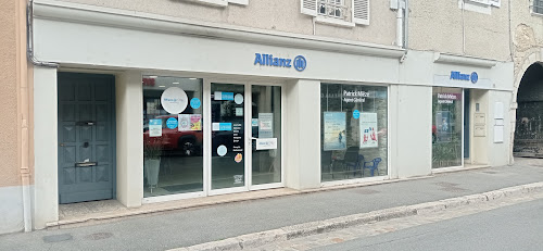 Allianz Assurance NEMOURS - Patrick MIEZE à Nemours