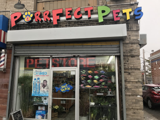 Pet Store «Purrfect Pets», reviews and photos, 1915 Mott Ave, Far Rockaway, NY 11691, USA