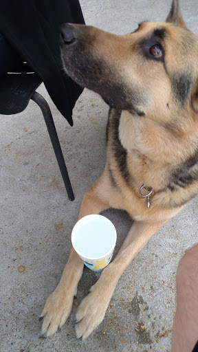 Fast Food Restaurant «Sonic Drive-In», reviews and photos, 5453 Wesleyan Dr, Virginia Beach, VA 23455, USA