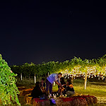 Photo n°3 de l'avis de Marco.a fait le 09/09/2023 à 12:05 sur le  La Rizzola Cucina e Cantina à Calderara di Reno