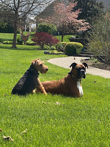 Centro Veterinario El Coto El Casar en El Coto