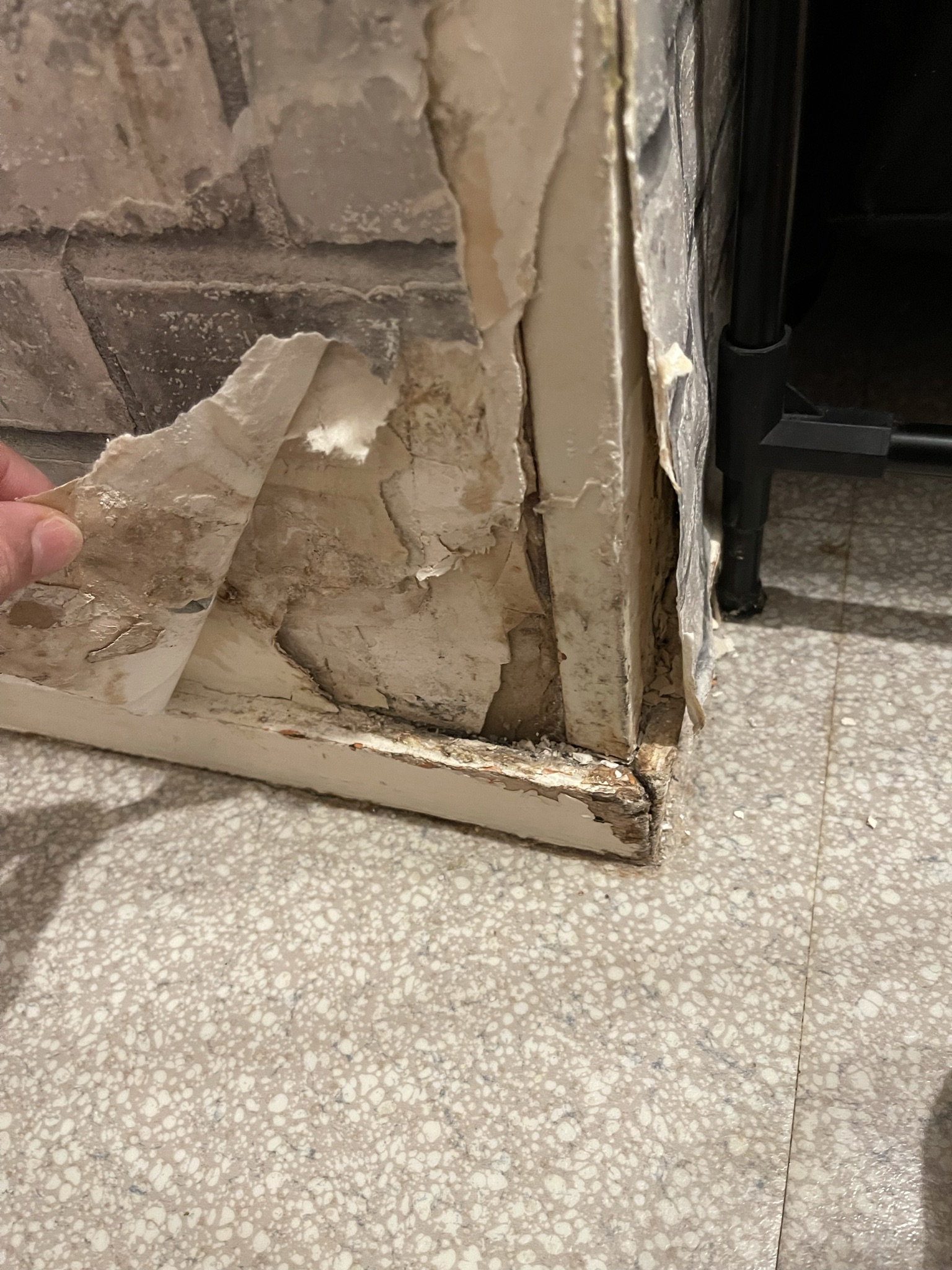 Photo n° 9 de l'avis de Amira.a fait le 15/03/2022 à 22:14
