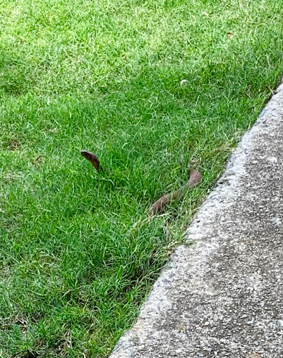 Golf Club «Trophy Club of Atlanta», reviews and photos, 15135 Hopewell Rd, Alpharetta, GA 30004, USA