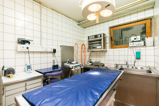 Tierarzt Brakel unter Brakel, Nordrhein-Westfalen