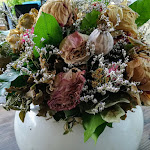 Photo n° 2 de l'avis de Pascale.e fait le 12/07/2020 à 00:51 pour Ferme d'Edith Mignot à Saint-Victor