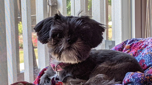 Pet Supply Store «PetSmart», reviews and photos, 3101 Market Center Drive, Morrisville, NC 27560, USA