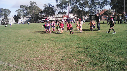 Central Districts Rugby League Club
