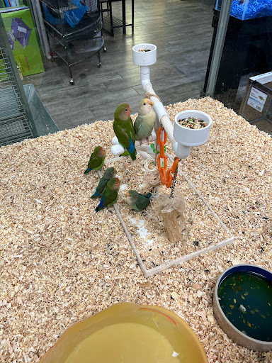 Pet Store «Petland South Orlando», reviews and photos, 3920 S Semoran Blvd, Orlando, FL 32822, USA