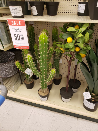 Craft Store «Hobby Lobby», reviews and photos, 1355 East-West Connector #107, Austell, GA 30106, USA