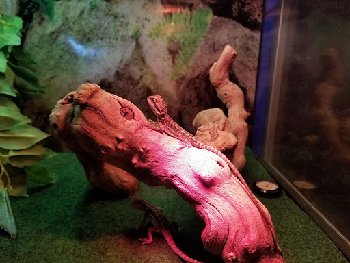 Pet Store «Paws & Fins Pet Shop», reviews and photos, 360 Tormey Ln NE, Bainbridge Island, WA 98110, USA