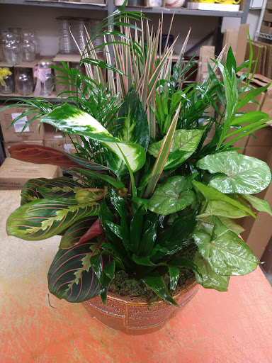 Florist «Grace Harper Florist, Inc.», reviews and photos, 4135 Woodward Ave, Detroit, MI 48201, USA