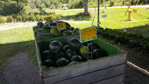 Produce Market «The Bigsby Market», reviews and photos, 1418 Dryden Rd, Freeville, NY 13068, USA