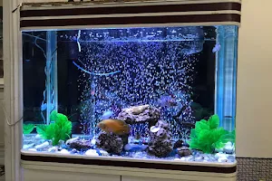 Junaid Fish Aquarium and Glass House image