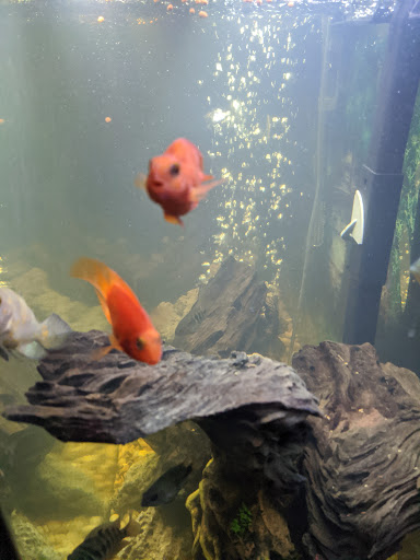 Pet Supply Store «Premium Pet Supply», reviews and photos, 1500 E Empire St, Bloomington, IL 61701, USA