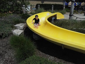 Anderson Park - photo 24