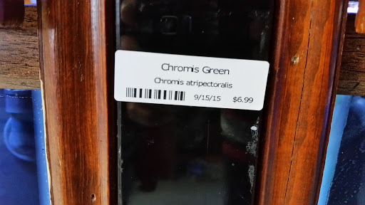 Tropical Fish Store «Beyond the Reef», reviews and photos, 205 W Golf Rd, Schaumburg, IL 60195, USA