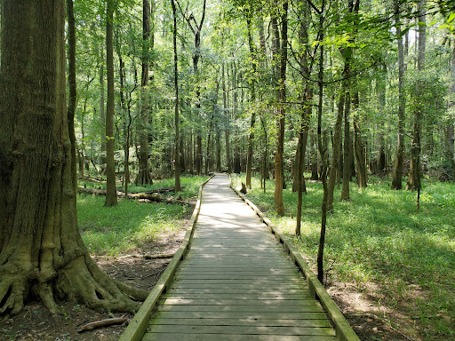 National Park «Congaree National Park», reviews and photos