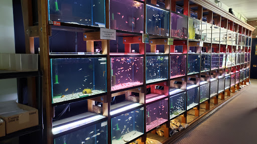 Tropical Fish Store «Aquarium Co-Op», reviews and photos, 9661 Firdale Ave, Edmonds, WA 98020, USA