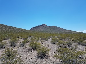 Chihuahuan Desert Nature Park - photo 73