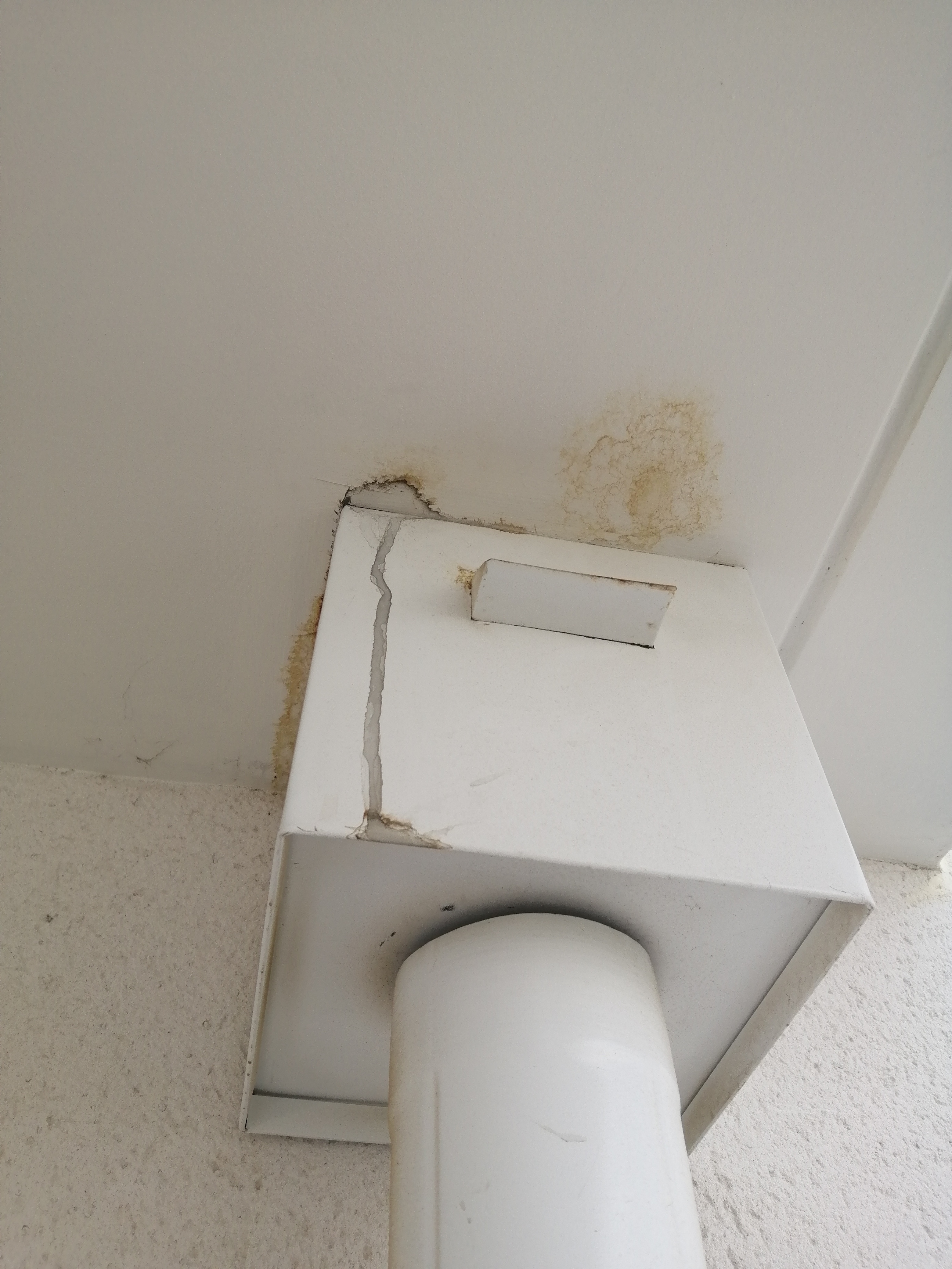 Photo n° 1 de l'avis de Larose.l fait le 19/03/2022 à 12:37