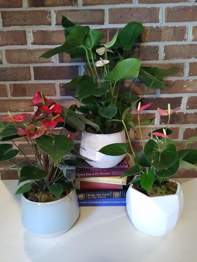 Florist «Roses Are Red Florist», reviews and photos, 425 5th Ave, Indialantic, FL 32903, USA