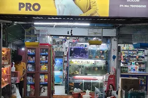 Paul pet shop |in siliguri| Dog Shop in Siliguri | image