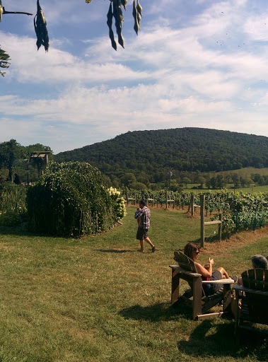 Winery «Hillsborough Vineyards», reviews and photos, 36716 Charles Town Pike, Purcellville, VA 20132, USA