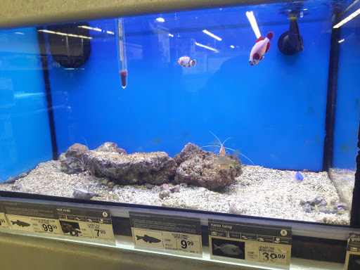 Pet Supply Store «Petco Animal Supplies», reviews and photos, 8909 Branch Ave d, Clinton, MD 20735, USA