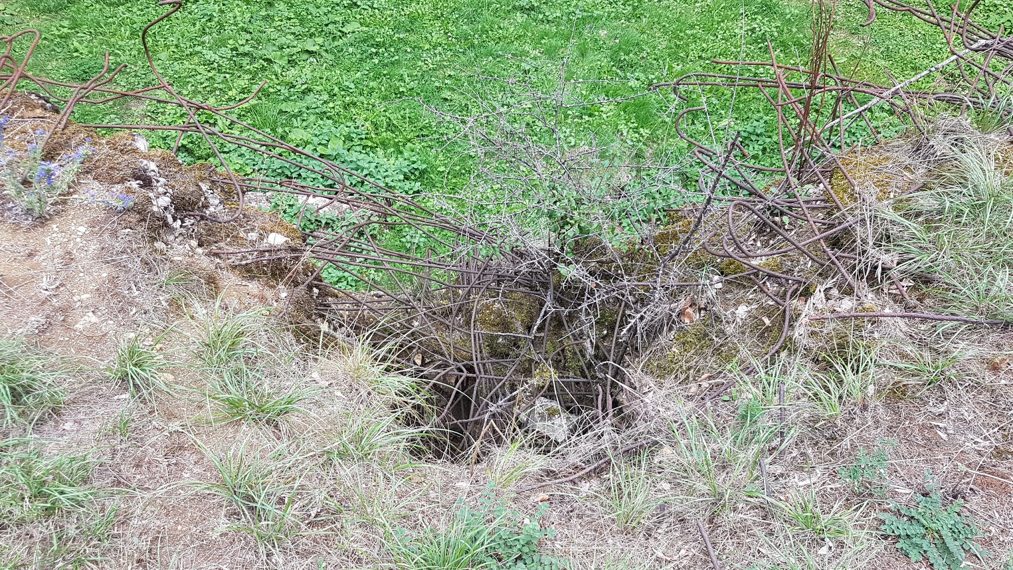 Photo n° 6 de l'avis de Robert.z fait le 19/09/2019 à 13:43
