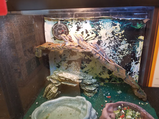 Pet Supply Store «PetSmart», reviews and photos, 218 Kentlands Blvd, Gaithersburg, MD 20878, USA