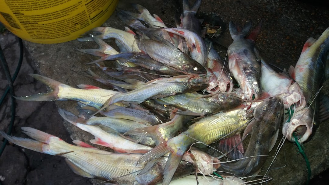 Restauran La Manuela