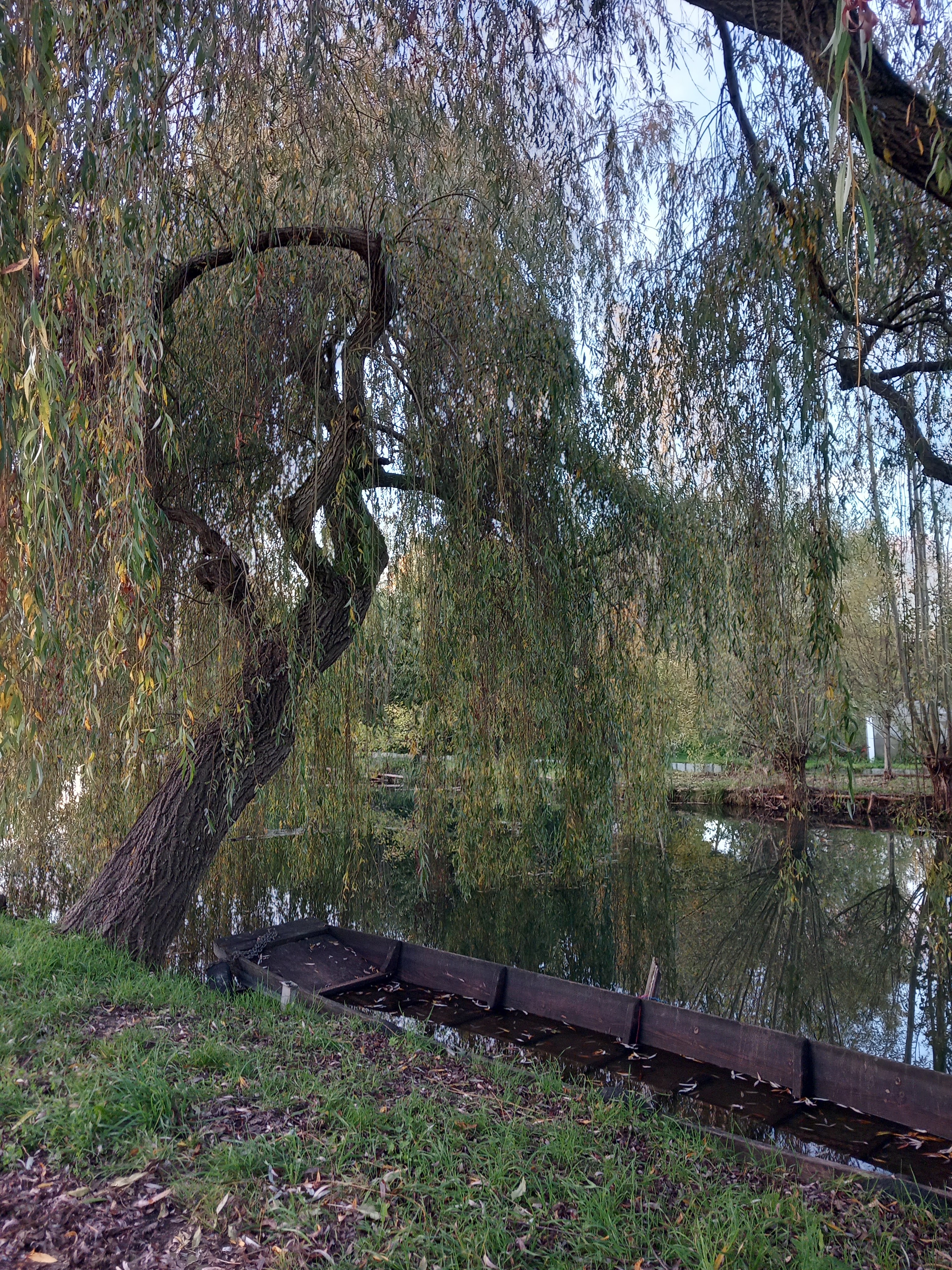 Photo n° 2 de l'avis de Ilanovich. fait le 14/01/2022 à 18:14