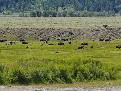 Lamar Valley