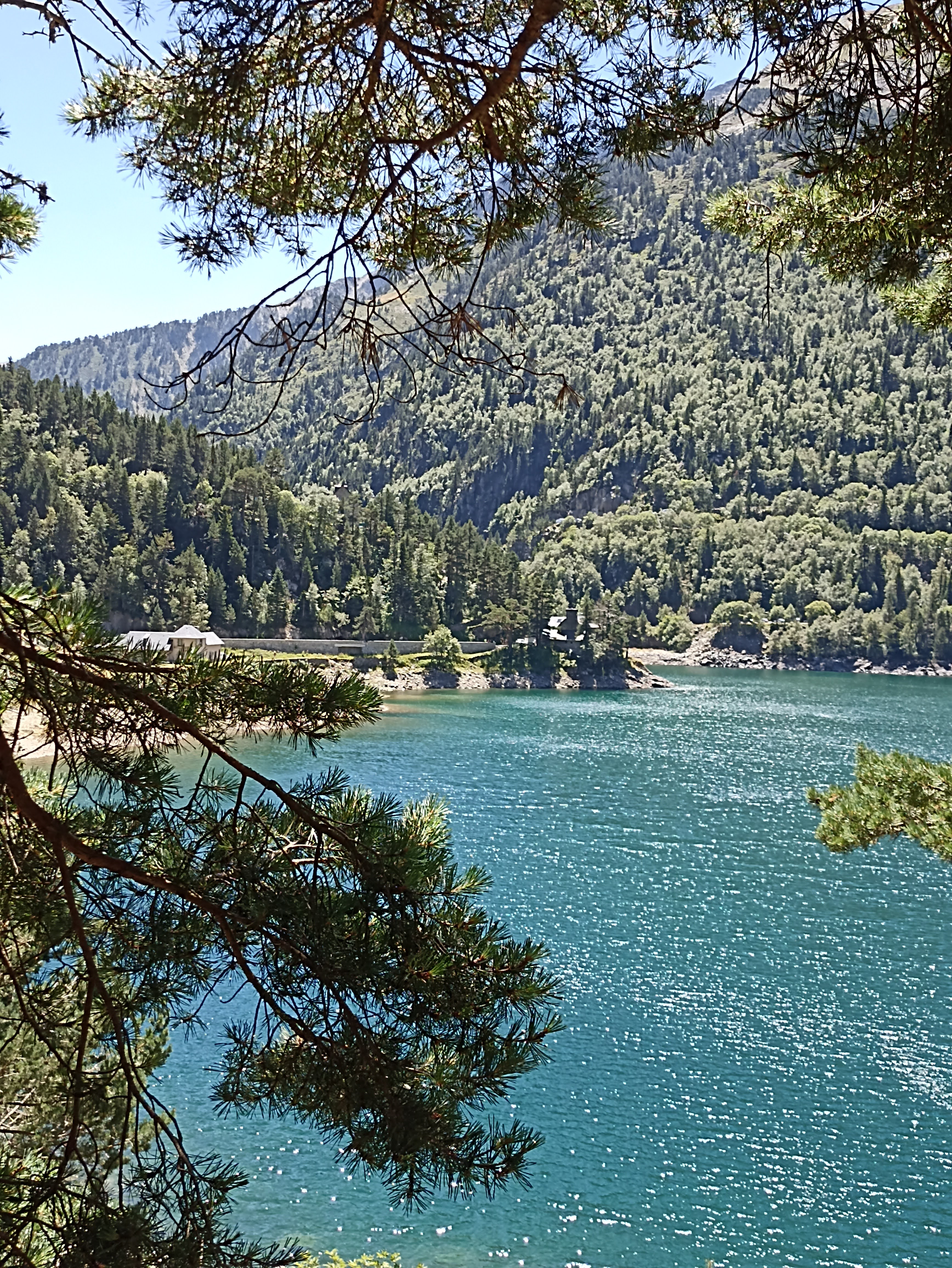 Photo n° 3 de l'avis de FIS.� fait le 15/08/2023 à 14:11